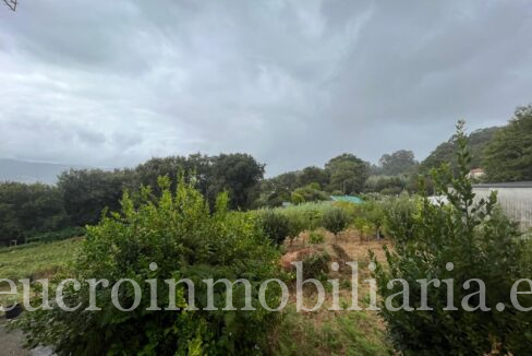IMG-20250827-WA0091