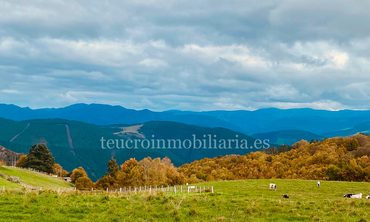 WhatsApp Image 2025-11-20 at 12.08.56