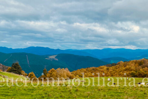 WhatsApp Image 2025-11-20 at 12.08.56