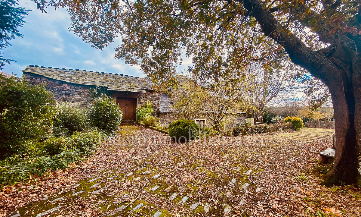 WhatsApp Image 2025-11-20 at 12.08.58