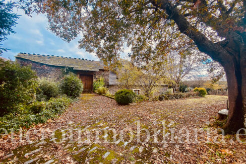 WhatsApp Image 2025-11-20 at 12.08.58