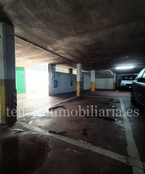 WhatsApp Image 2026-02-11 at 09.38.02