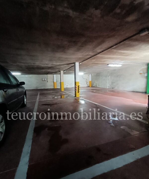 WhatsApp Image 2026-02-11 at 09.38.07