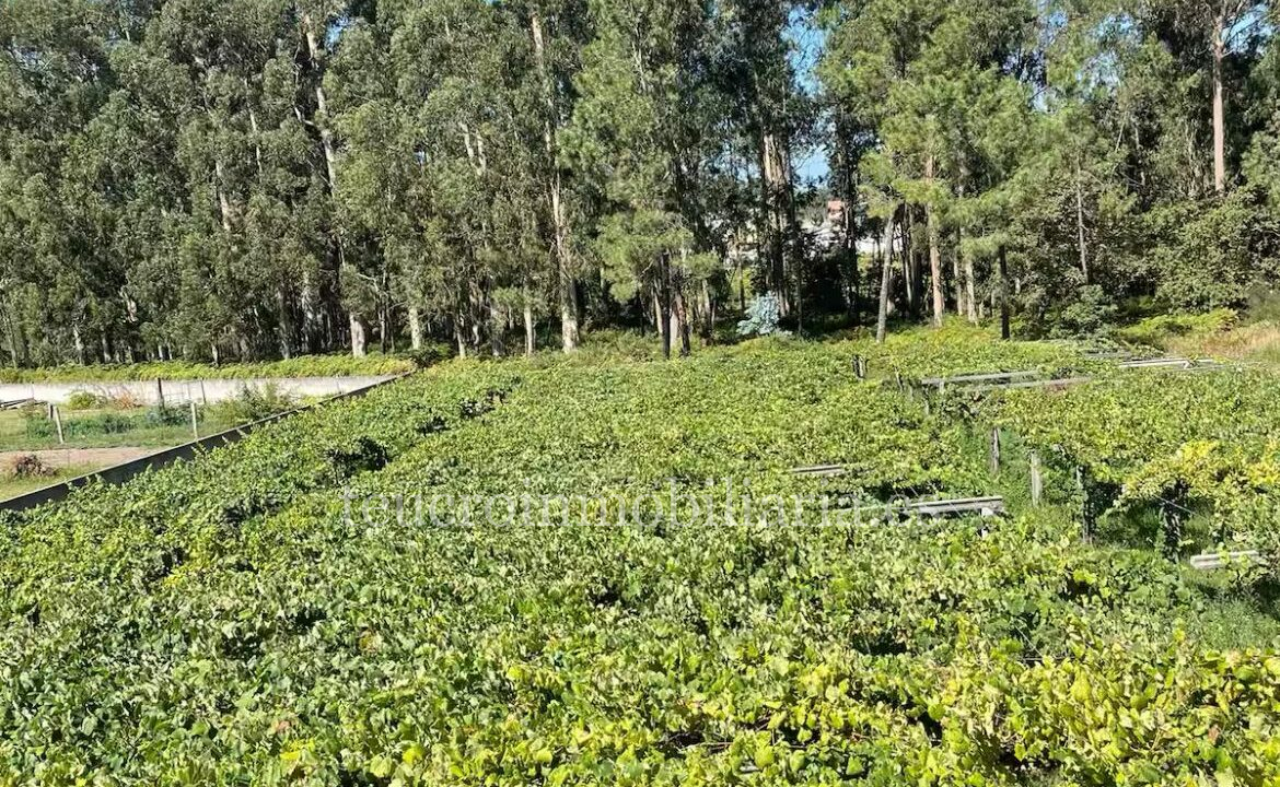 WhatsApp Image 2026-04-28 at 12.48.44 (5)