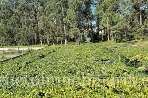 WhatsApp Image 2026-04-28 at 12.48.44 (5)